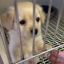 สมาชิกหมายเลข 2715927