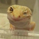 สมาชิกหมายเลข 2942919