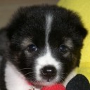 มาแบบปุ๊บปั๊บ