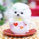 สมาชิกหมายเลข 1086744