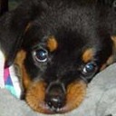 สมาชิกหมายเลข 1086887