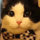 สมาชิกหมายเลข 1495441