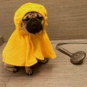 สมาชิกหมายเลข 1893879