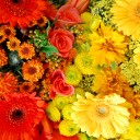 สมาชิกหมายเลข 3136035