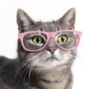 สมาชิกหมายเลข 2780793