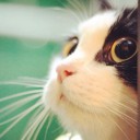 สมาชิกหมายเลข 1926855