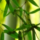 สมาชิกหมายเลข 2323507