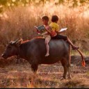 สมาชิกหมายเลข 2583077