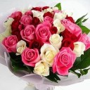 อัลปลั๊ก