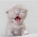 สมาชิกหมายเลข 1087366