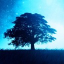 สมาชิกหมายเลข 710441