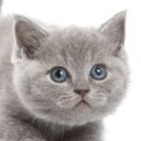 สมาชิกหมายเลข 1088038