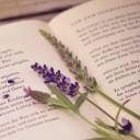 สมาชิกหมายเลข 1579115