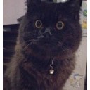 โมโม่จัง