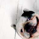 สมาชิกหมายเลข 3607602