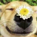 สมาชิกหมายเลข 1772127