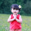 สมาชิกหมายเลข 2324742