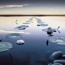 สมาชิกหมายเลข 2104027