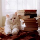 สมาชิกหมายเลข 710654