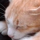 สมาชิกหมายเลข 1088552