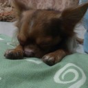 สมาชิกหมายเลข 1088692