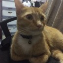 ถุงทองไร้พรมแดน