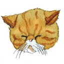 สมาชิกหมายเลข 711005