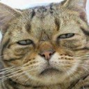 ไม่มีอะไรเหมือนเดิม