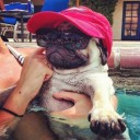 สมาชิกหมายเลข 1929106