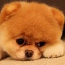 สมาชิกหมายเลข 2710670