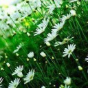 สมาชิกหมายเลข 789275