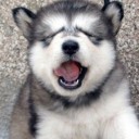 รักเธอตลอดกาล