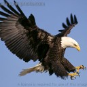 สมาชิกหมายเลข 1456129