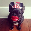 อินเดียดำ