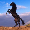 สมาชิกหมายเลข 1068971