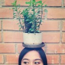 สมาชิกหมายเลข 774417