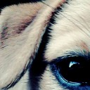 สมาชิกหมายเลข 2325150