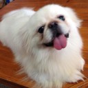 สมาชิกหมายเลข 1864932