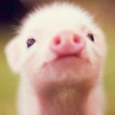 สมาชิกหมายเลข 1499258