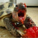 สมาชิกหมายเลข 2306137