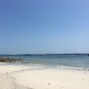 อ้อมกอดท้องทะเล