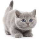 สมาชิกหมายเลข 1930836