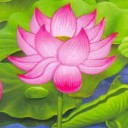 สมาชิกหมายเลข 3614647