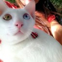 ใบเตยคนชอบเที่ยว