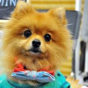 สมาชิกหมายเลข 1316919