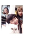 สมาชิกหมายเลข 1500176