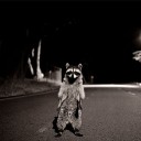 สมาชิกหมายเลข 1075588