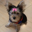 สุขทุกข์ อยู่ที่ใจคิด