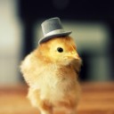 สมาชิกหมายเลข 2327140