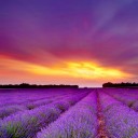 สมาชิกหมายเลข 899594